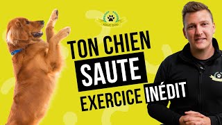 Ton chien saute sur les gens ? Voici comment lui apprendre à ne plus sauter !