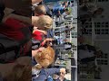 Koenigsegg Chimera revs