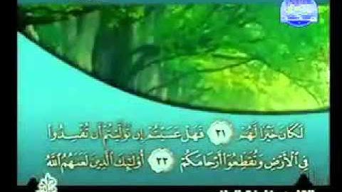 سورة محمد كاملة الشيخ القارئ خليفة الطنيجي