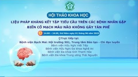 Liệu pháp kháng kết tập tiểu cầu trên các bệnh nhân gặp biến cố mạch máu não không gây tàn phế