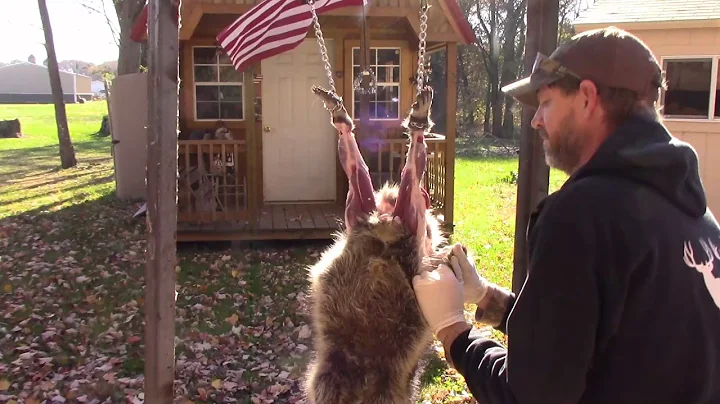 How to Skin a Raccoon