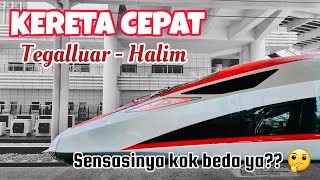 Cobain KERETA CEPAT WHOOSH dari Tegalluar menuju Halim | Bulan Desember Tiketnya masih PROMO lho 🤑