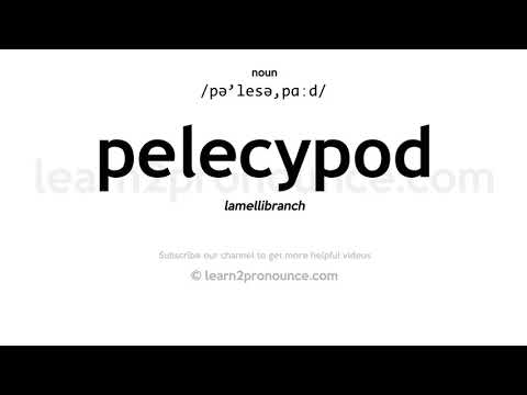 Vídeo: Què significa el nom pelecypod?