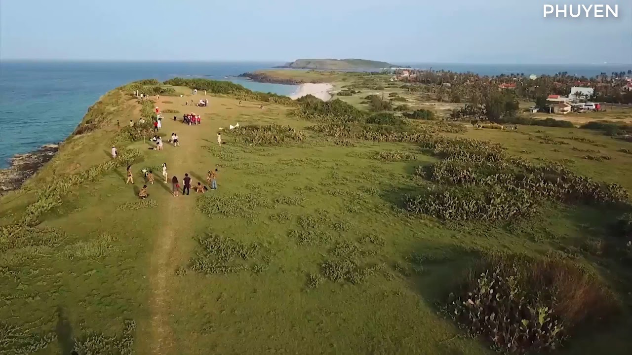 Hoa vàng trên cỏ xanh Yellow flowers on the green grass YouTube