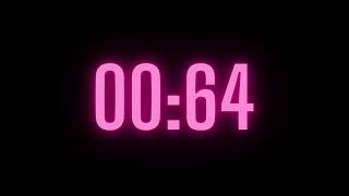 171 Second Timer with Alarm Net Worth