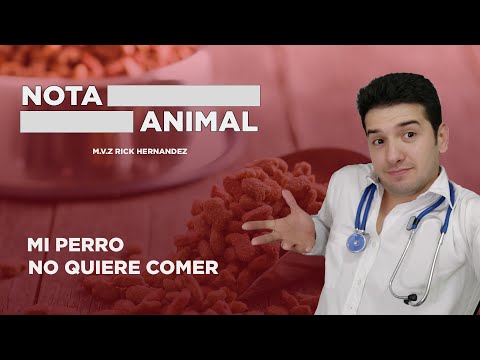 Video: Las Consecuencias Sociales De La Hora De Comer - Veterinario Diario