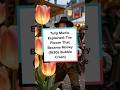 Tulip Mania Explained: The Flower That Became Money (1630s Bubble Crash) #shorts