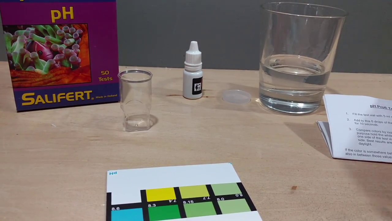 How To Increase Aquarium pH YouTube