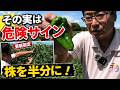 ピーマンの先が尖ってきたら要注意!株を半分まで切る「更新剪定」で秋の収穫を復活させます(2026.8.16)