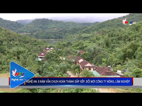 Video Nghệ An: 6 năm vẫn chưa hoàn thành sắp xếp, đổi mới... - youtube