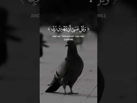 من جواهر المنشاوى قران كريم التوبه الي الله اكسبلور أدعيه دويتو ألا بذكر الله تطمئن القلوب