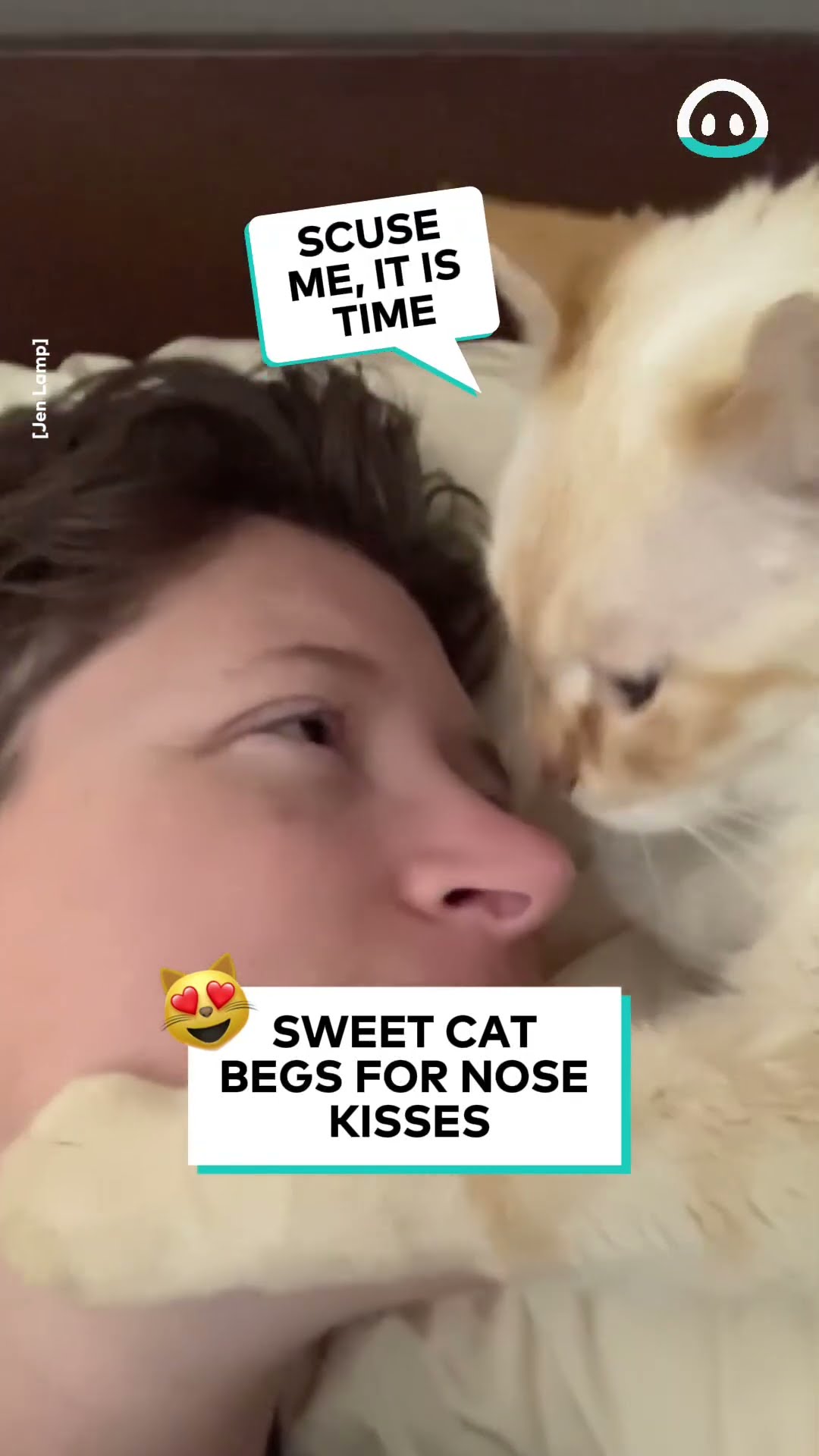 Adorable Cat Kisses || ViralHog