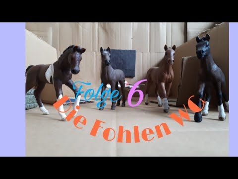 Mädchen Wg 2021 Folge 6 Mädchen Wg 2021 Folge 6