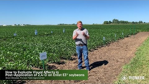 Pioneer® Brand Enlist E3® Soybeans: Tank Contamination Tolerance