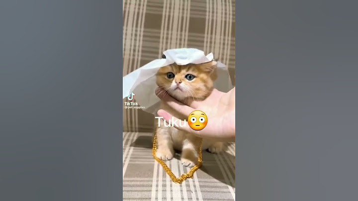 Edit:MIO!//video del gatito:no es mio||Sunny gacha