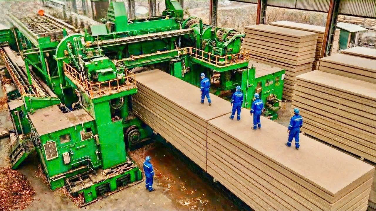 Inside the Industrial Timber Factory: How Raw Logs Become Perfect Straight Wood Beams (Full Process)