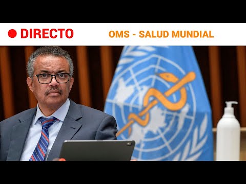 OMS: TEDROS informa sobre asuntos de SALUD GLOBAL con vista puesta en GAZA | RTVE Noticias