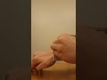 Raspberry Pi Watch