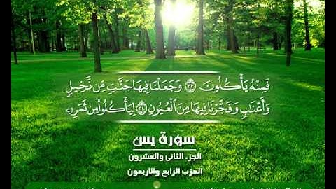 الشيخ حسن مرعب , سورة يس - ج22 و 23 - ح44 و 45