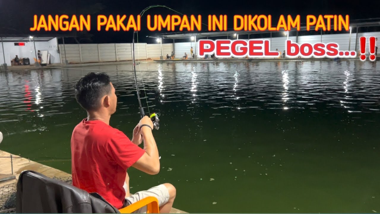 Mancing Galatama Patin pakai umpan ini bikin Pegel bossku...‼️#KP-21