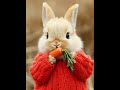 Cuteness Overloaded #airabit #aianimalsvideo