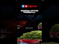 МЕДВЕДЬ ПРОТИВ ТИММЕЙТА в RUST #раст #rust