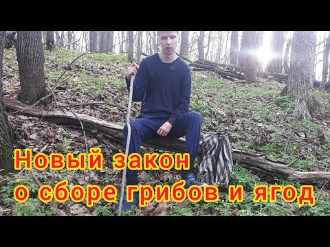 Видео: Что запрещено респа?