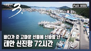 [다큐3일★풀버전] 동해 대표선수가 서해에 떴다? "왔다! 오징어 - 태안 신진항 72시간"  (KBS 20150913 방송)