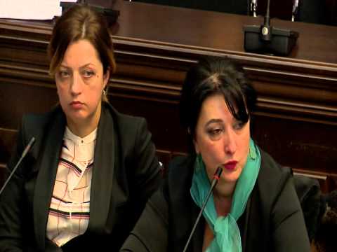 სახალხო დამცველის რეკომენდაციების შესრულების ანგარიშის განხილვა პარლამენტში.16 02 2015