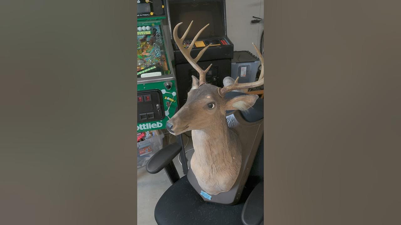Gemmy Buck Singing Deer Head YouTube