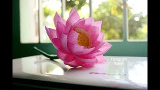 How to make Lotus flower from crepe paper