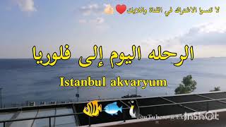 اسطنبول اكواريوم my visit to Istanbul akvaryum 2019-2020
