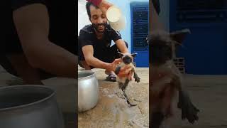 اعتني بحيواناتك tinki winki ❤️🇲🇦