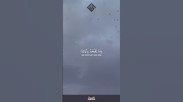 وَكَذَلِكَ أَنْزَلْنَا إِلَيْكَ الْكَتَابَ|القارئ ياسر الدوسري|القرآن الكريم