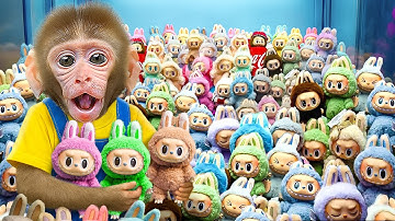KIKI Monkey Won Every LABUBU From Labubu Vending Machine & unbox with Ducklings | KUDO ANIMAL KIKI