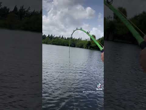 Best Fishing Rods Ever Created