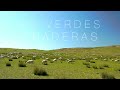 En Verdes Praderas 🎹 [PIANO SOLO] - Música Instrumental para Orar - Tobías Buteler