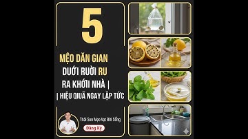5 Mẹo Đuổi Ruồi Tự Nhiên – Hiệu Quả Bất Ngờ, Sạch Mát Cả Nhà