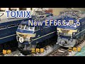 【TOMIX】新EF66（後期型）を見てみた【N scale】