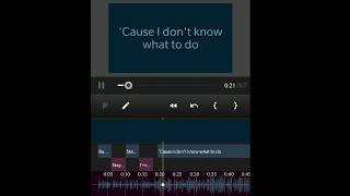 How to create videos with lyrics (Android App) screenshot 2