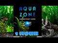 Aqua Zone - Desktop Life (Saturn) - 1 Hour