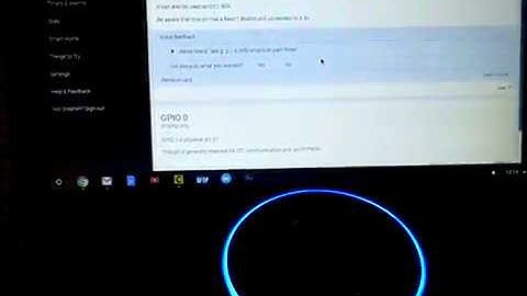 Alexa Skill Pi GPIO Info