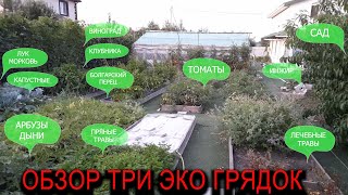 картинка: Обзор Три Эко Грядок, умные грядки в действии #ТриЭкоОгород
