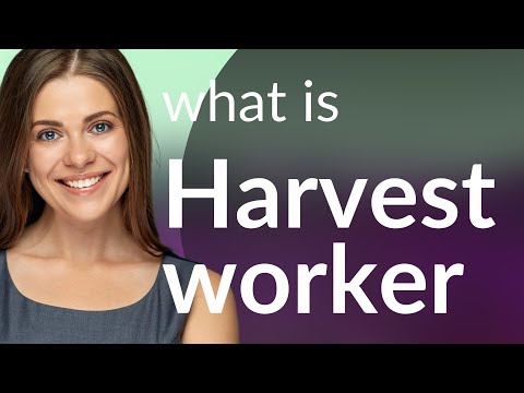 Harvest Worker: Understanding