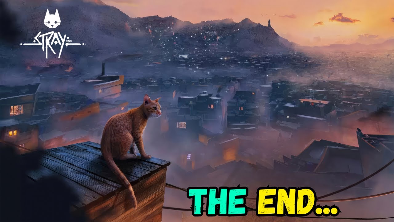 FINALLY FOUND THE OUTSIDERS - THE END 🤩 | STRAY #5