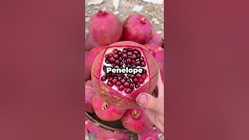 I agreed to split my inheritance equally with my siblings, until the lawyer handed me the letter...