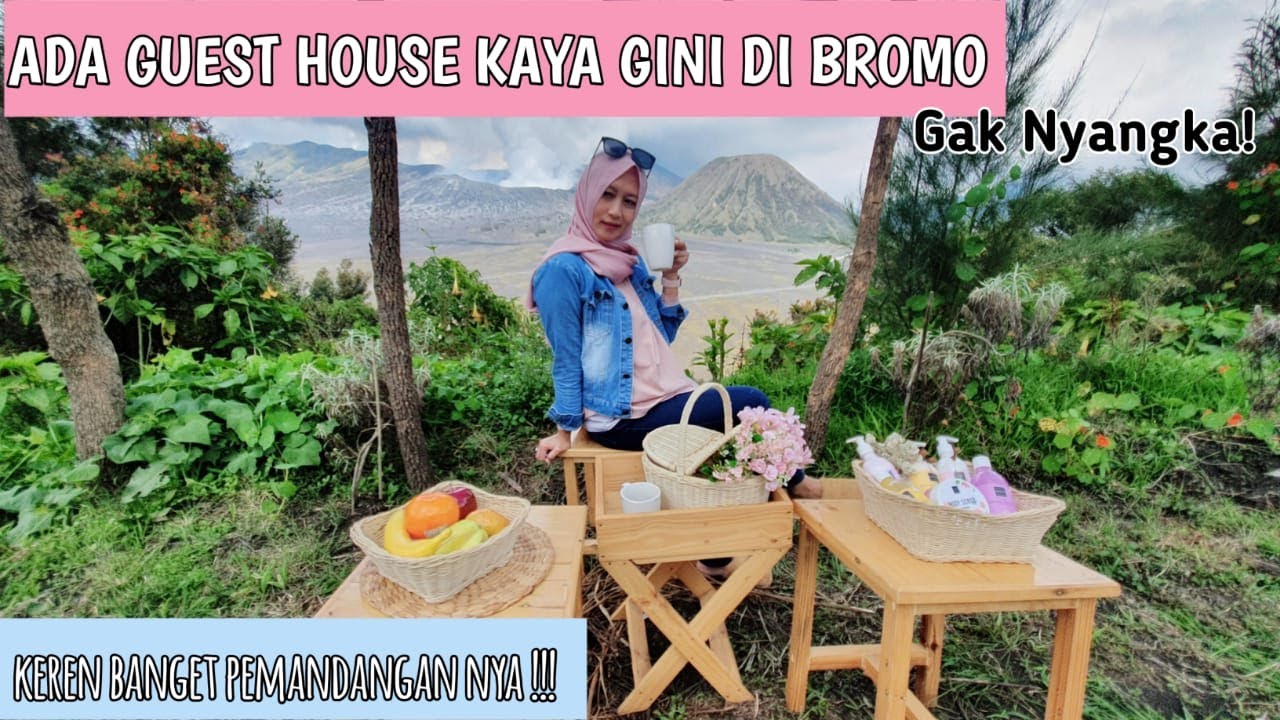 Penginapan Di Gunung Bromo Homecare24
