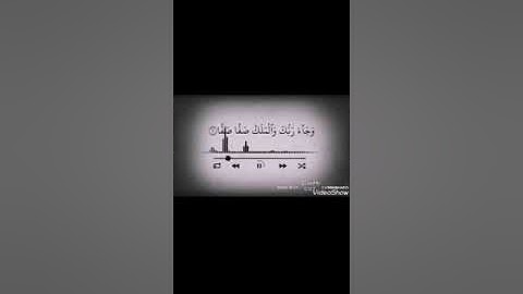 القارئ : الشيخ بشير عبدالستار