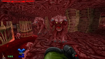 Doom 2 - Indigestion (Going Down Wad)