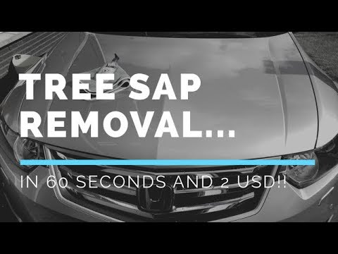 The BEST Tree Sap Removal Product for your Car is? 